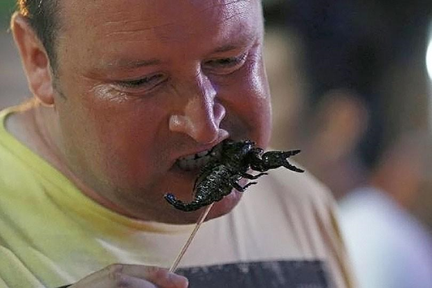 Det här med att äta insekter i Thailand - Thaininjan - En svensk blogg om  Thailand